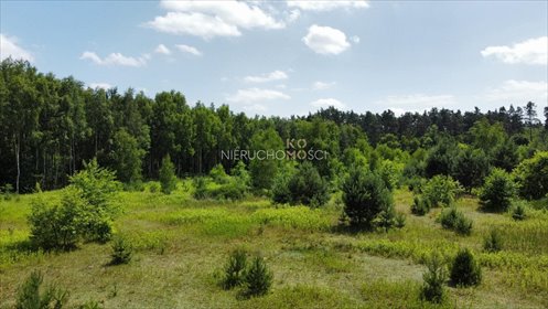 działka na sprzedaż 3371m2 działka Ostrowina, Aleja Lipowa
