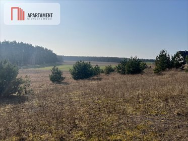 działka na sprzedaż 4900m2 działka Oporówek