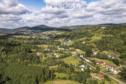 działka na sprzedaż 4100m2 działka Cieszyna