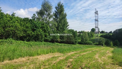 działka na sprzedaż 10500m2 działka Koźmice Wielkie
