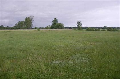 działka na sprzedaż 10740m2 działka Ojrzeń, Ciechanowska